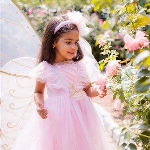 Princes butterfly dress